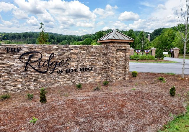 1008 Ridge Drive, Morganton, GA 30560