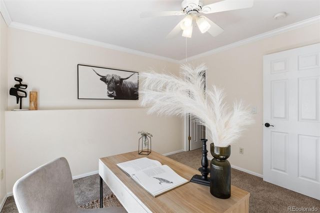 6926 Yellowpine Drive, Colorado Springs, CO 80919