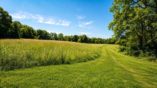539 Wallace Rd, Gallatin, TN 37066