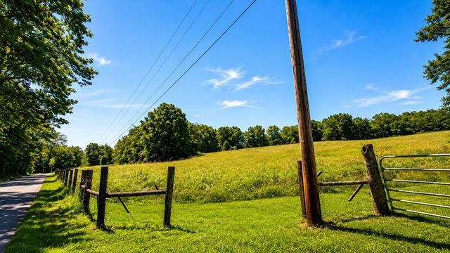 539 Wallace Rd, Gallatin, TN 37066