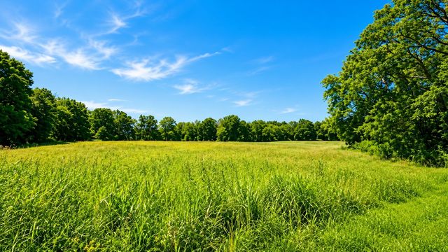 539 Wallace Rd, Gallatin, TN 37066