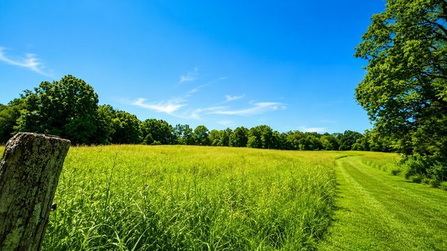 539 Wallace Rd, Gallatin, TN 37066