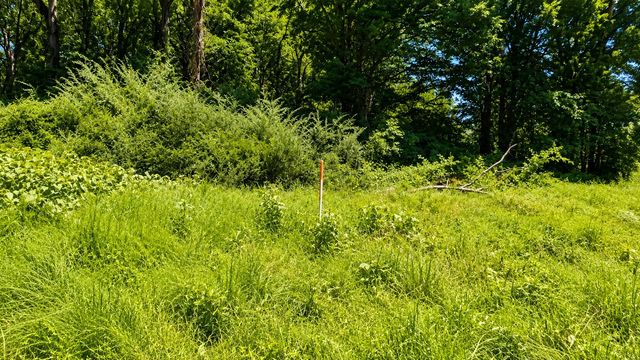 539 Wallace Rd, Gallatin, TN 37066