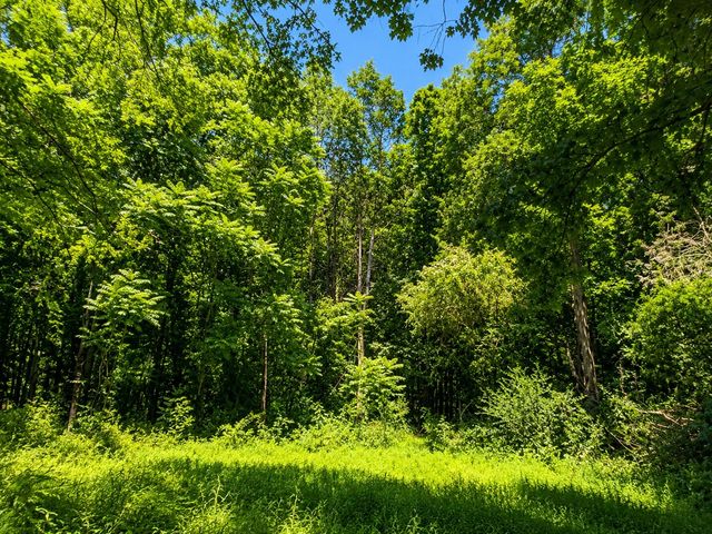539 Wallace Rd, Gallatin, TN 37066