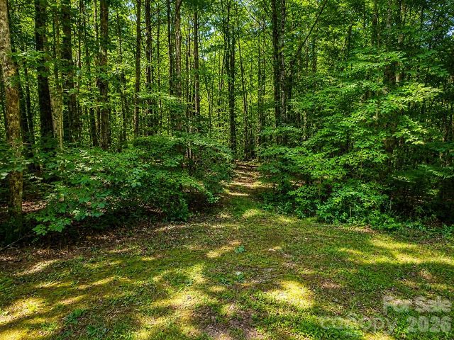 49 Trillium Trail, Nebo, NC 28761