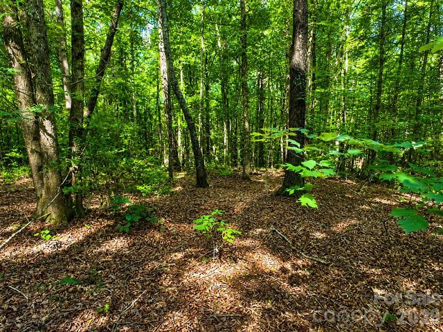 49 Trillium Trail, Nebo, NC 28761