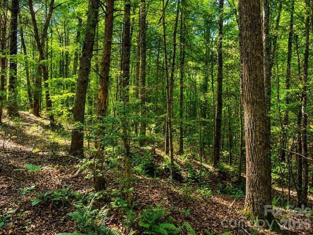 49 Trillium Trail, Nebo, NC 28761