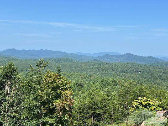 49 Trillium Trail, Nebo, NC 28761