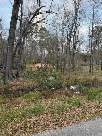 0 Pin Oak Drive Lane, Houston, TX 77336