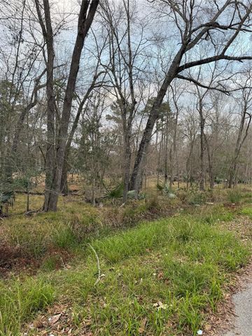 0 Pin Oak Drive Lane, Houston, TX 77336