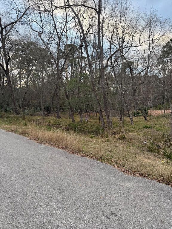 0 Pin Oak Drive Lane, Houston, TX 77336