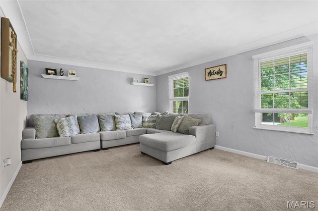 921 Borri Drive, Maryville, IL 62062