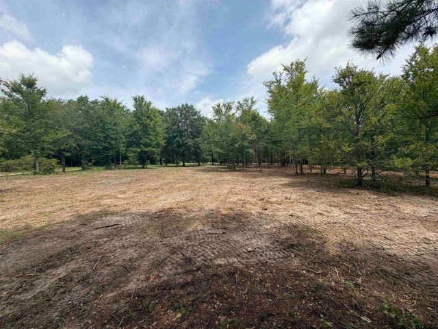 142 Sandy Lane, Bullard, TX 75757