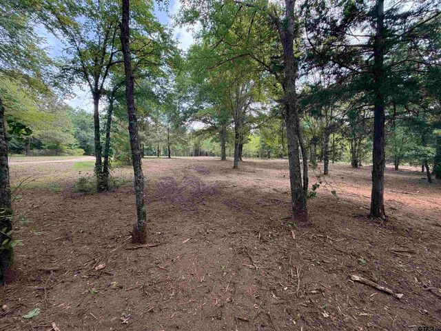 142 Sandy Lane, Bullard, TX 75757