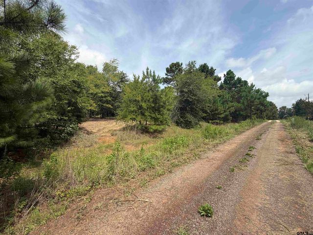 142 Sandy Lane, Bullard, TX 75757