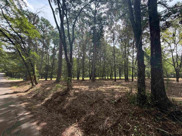 142 Sandy Lane, Bullard, TX 75757