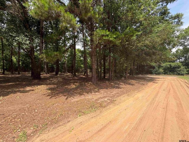 142 Sandy Lane, Bullard, TX 75757