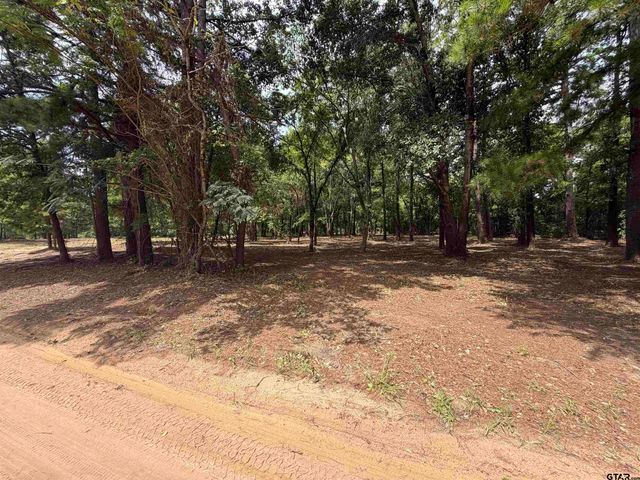 142 Sandy Lane, Bullard, TX 75757