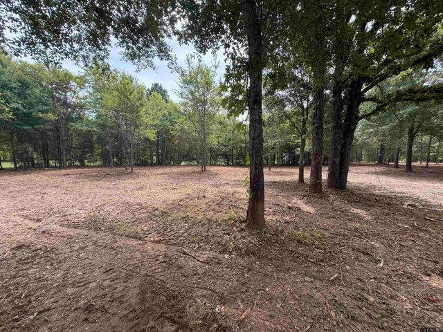 142 Sandy Lane, Bullard, TX 75757