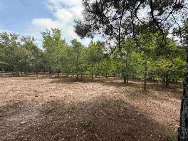 142 Sandy Lane, Bullard, TX 75757