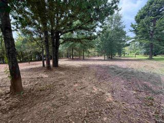 142 Sandy Lane, Bullard, TX 75757