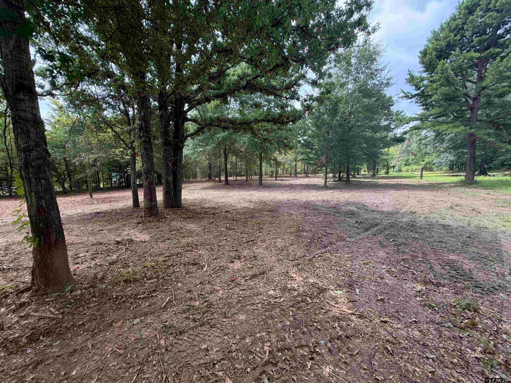 142 Sandy Lane, Bullard, TX 75757