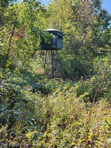 8060 Brockway Road, Melvin, MI 48454