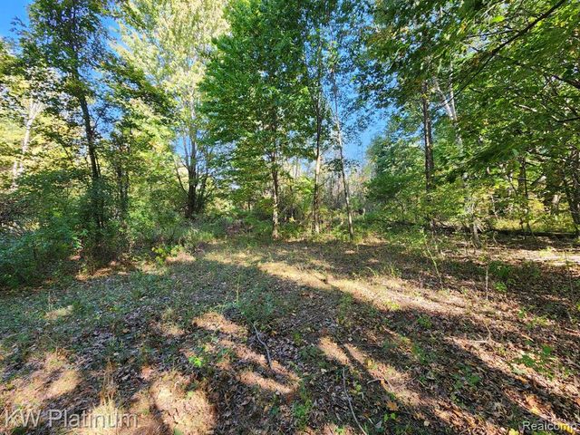 8060 Brockway Road, Melvin, MI 48454