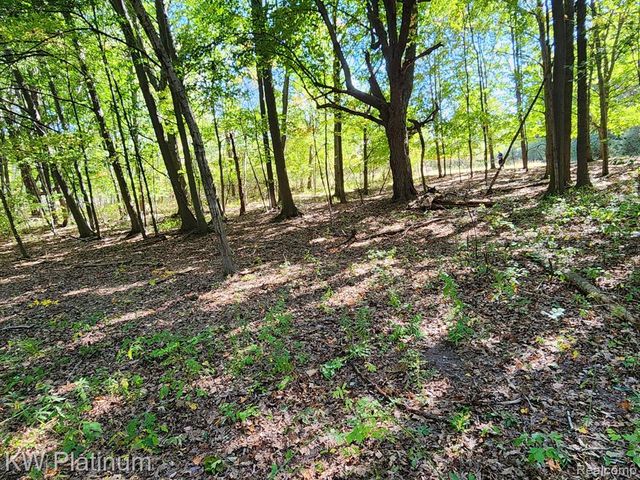 8060 Brockway Road, Melvin, MI 48454