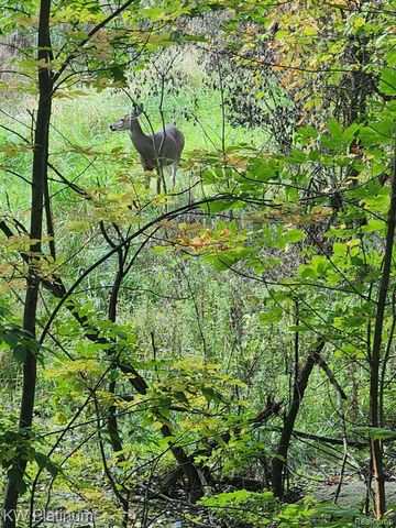 8060 Brockway Road, Melvin, MI 48454