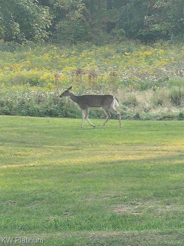 8060 Brockway Road, Melvin, MI 48454