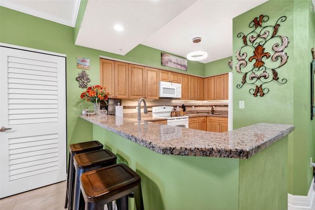 4516 SEAGULL DRIVE 719, New Port Richey, FL 34652