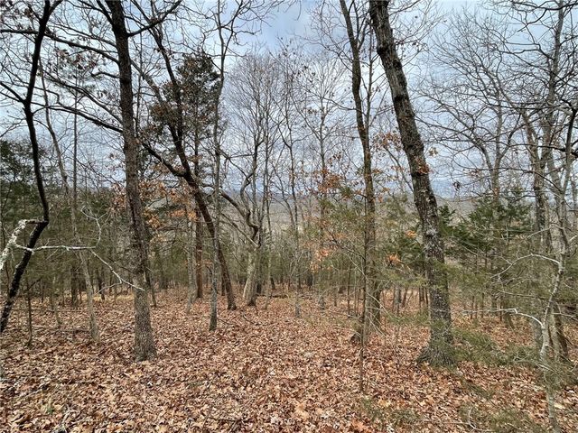 Cr-206, Eureka Springs, AR 72632