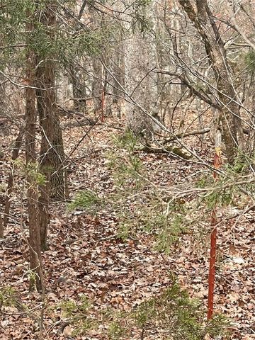 Cr-206, Eureka Springs, AR 72632