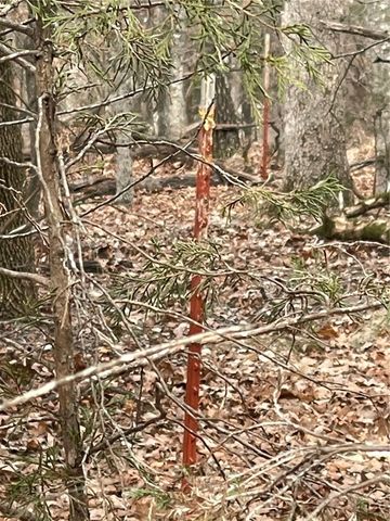 Cr-206, Eureka Springs, AR 72632