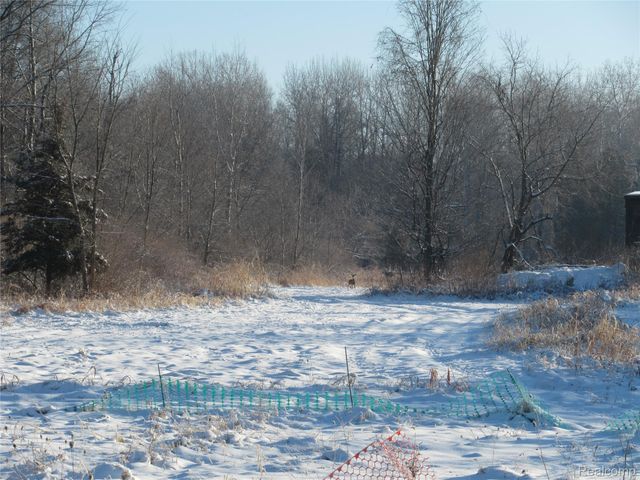 VACANT LAND S. PLAIN Road, Wells Township, MI 48723