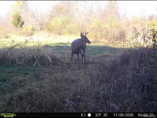 VACANT LAND S. PLAIN Road, Wells Township, MI 48723