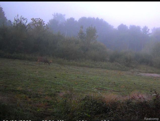 VACANT LAND S. PLAIN Road, Wells Township, MI 48723