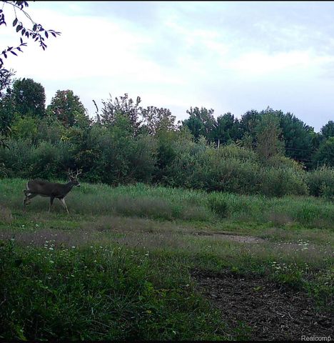 VACANT LAND S. PLAIN Road, Wells Township, MI 48723