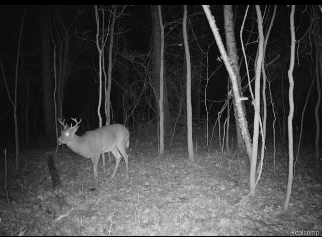 VACANT LAND S. PLAIN Road, Wells Township, MI 48723