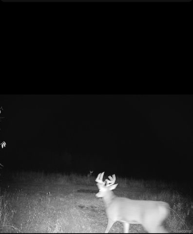 VACANT LAND S. PLAIN Road, Wells Township, MI 48723