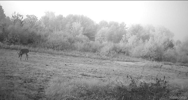 VACANT LAND S. PLAIN Road, Wells Township, MI 48723