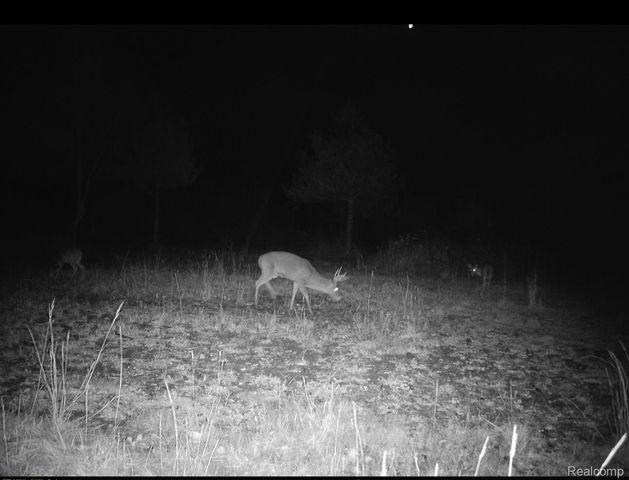 VACANT LAND S. PLAIN Road, Wells Township, MI 48723