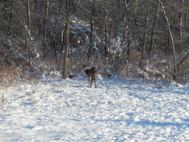 VACANT LAND S. PLAIN Road, Wells Township, MI 48723