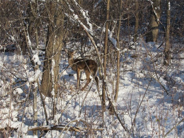 VACANT LAND S. PLAIN Road, Wells Township, MI 48723