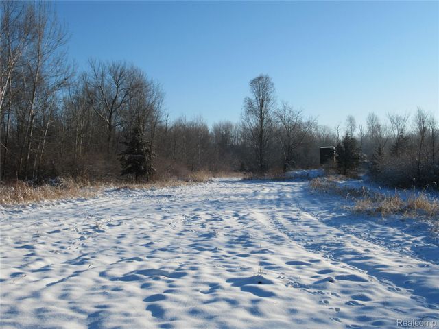 VACANT LAND S. PLAIN Road, Wells Township, MI 48723