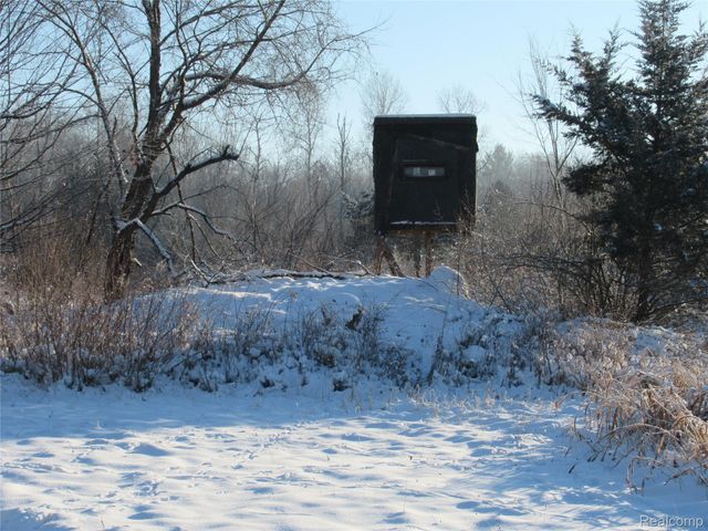 VACANT LAND S. PLAIN Road, Wells Township, MI 48723