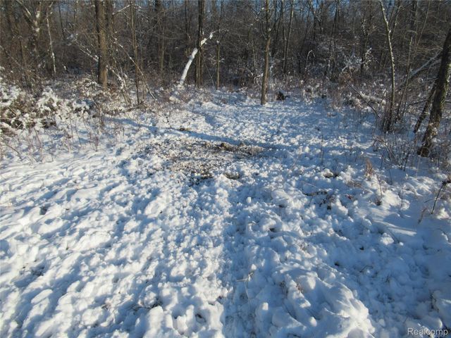 VACANT LAND S. PLAIN Road, Wells Township, MI 48723