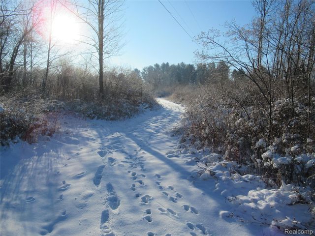 VACANT LAND S. PLAIN Road, Wells Township, MI 48723