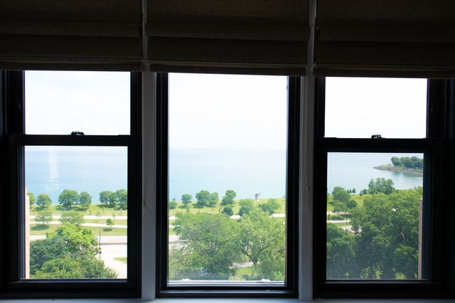 5300 S Shore Drive 111, Chicago, IL 60615